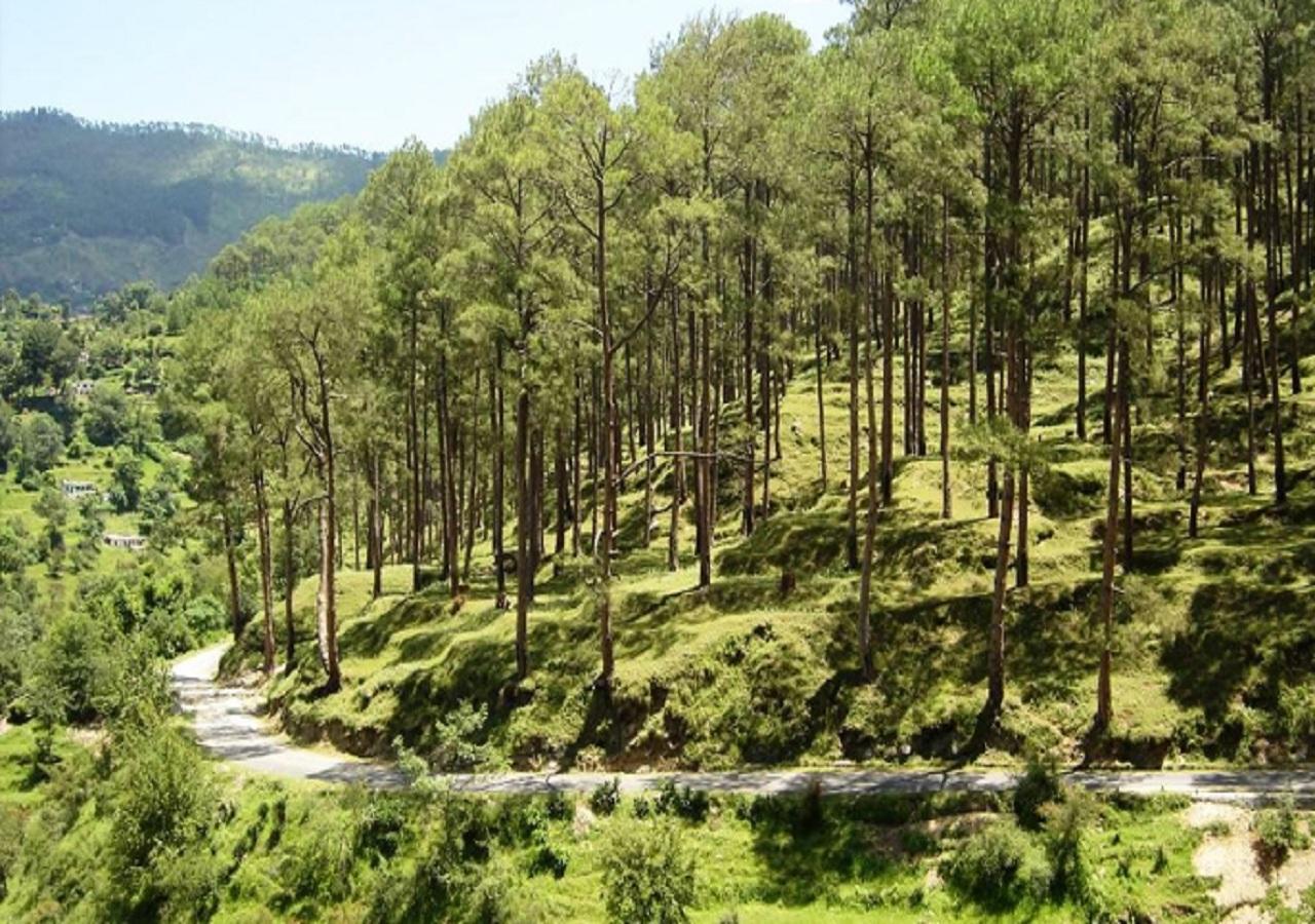 Uttarakhand Resort Kausani Exterior photo